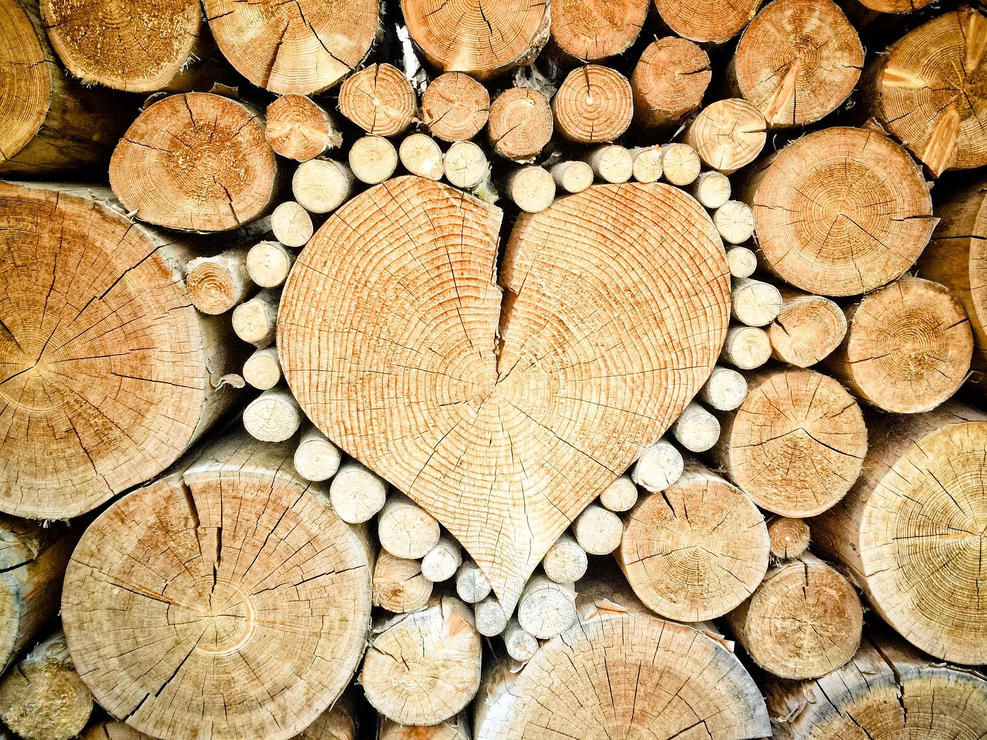 #22 - Heart patterns & consciousness patterns - Exploring the differences and similarities